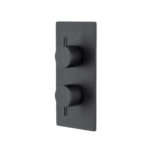 Atlantic One Outlet Dual Control Thermostatic Shower Valve Matt Black